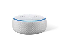 Plug in Echo Dot