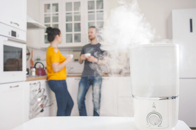 What's a online humidifier used for