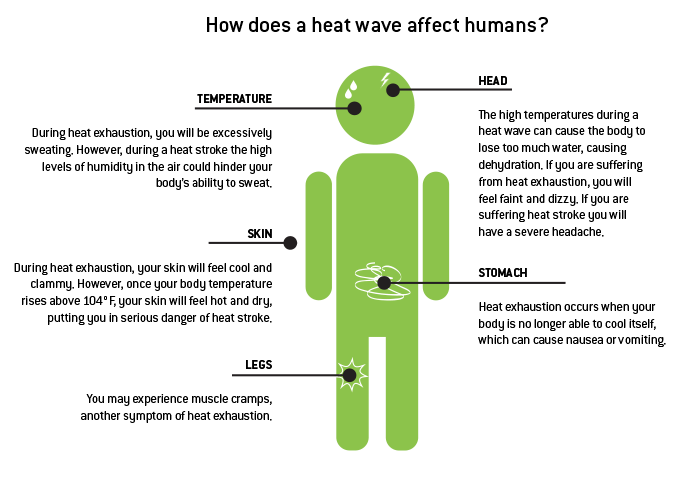 How does a heat wave affect humans? Natural Disaster Guide from Direct Energy.