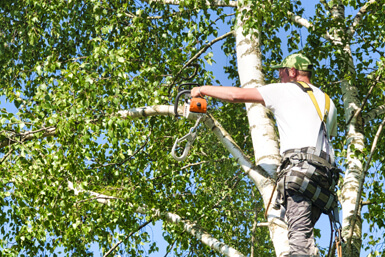 High winds a reminder to secure items during storms