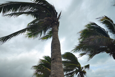 Breezy, gusty and windy; what's the difference?