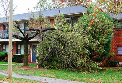 Cleaning Up Debris After A Storm
