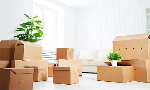 5 Eco-Friendly Moving Tips
